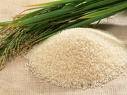 Broken Basmeti Rice