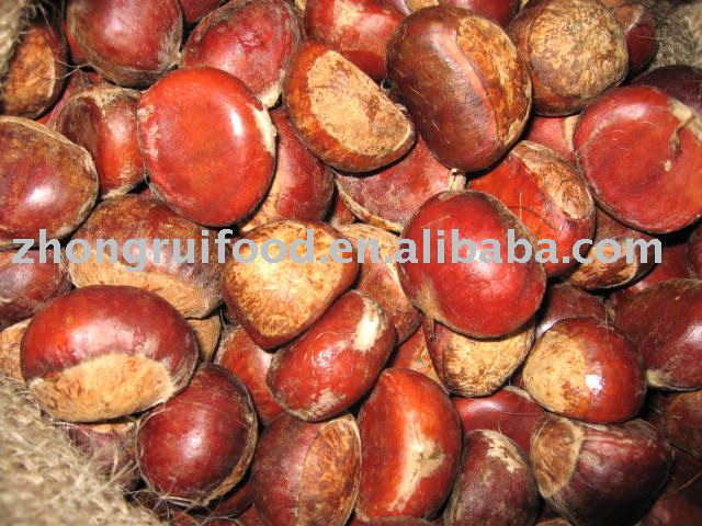 Fresh Chestnut