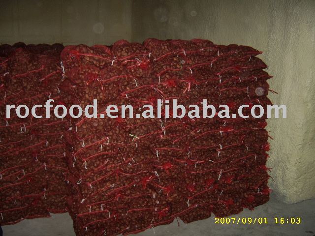 chinese  chestnuts