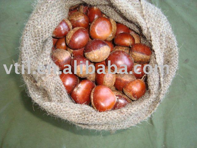 Chestnut