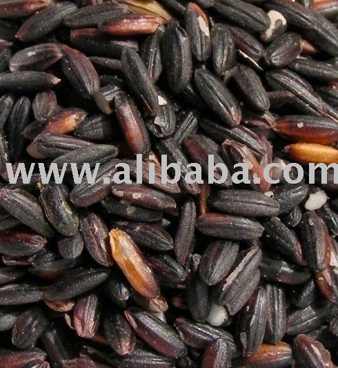 Thai  Black   Glutinous   Rice 