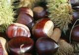 HIGH QUALITY Chestnut