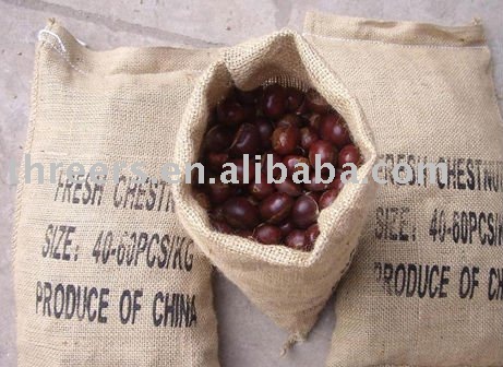 fresh chestnut