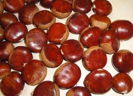 Good quality ChestNuts