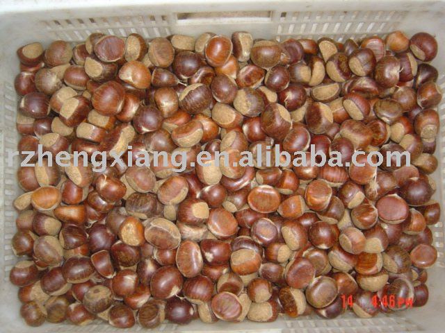 FRESH CHESTNUT