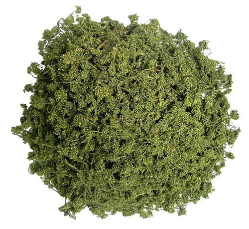  Ginseng   Flower   Tea 