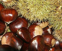 Fresh, frozen , roasted   Chestnut  of great quality