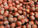 HAZEL NUTS