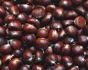 Chestnut