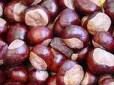 Chestnuts