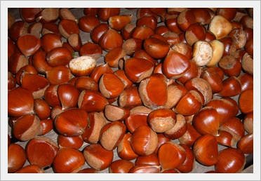 Chestnut