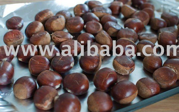 Fresh ChestNut