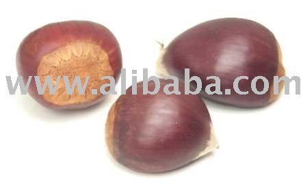 Marron (sweet chestnut)