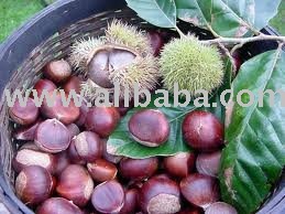 Chestnut