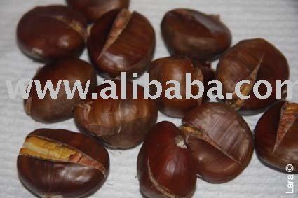 CHESTNUT FROM CAMEROON