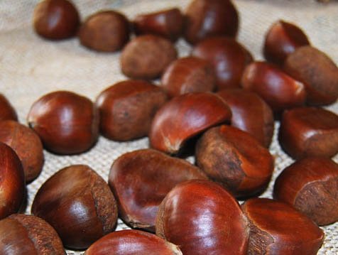 CHESTNUTS