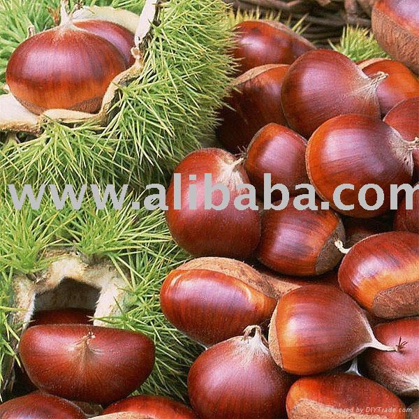 Chinese Fresh ChestNut