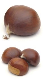 Fresh Chestnuts