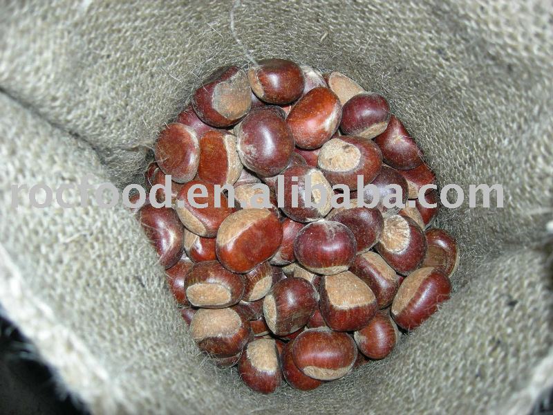 chestnuts