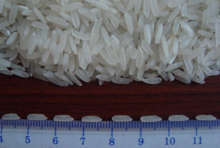 Long Rice