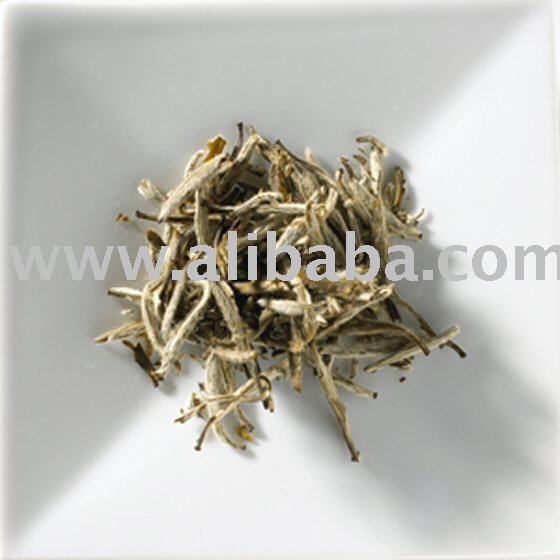 Jasmine White Tea