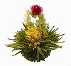Awakening Spirit  Fantasy  Flowering Tea