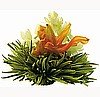 Lily Basket Fantasy Flowering Tea