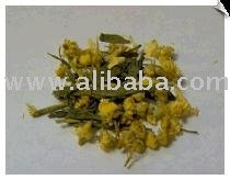 German Techno Herbal Blend Tea