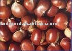 check quality first     jinhua  fresh chestnut