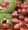 green, health ,natural ``` china healthy food