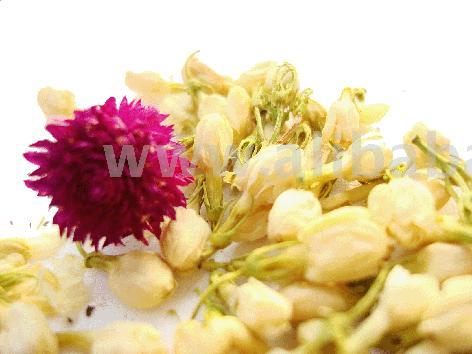 Dry Flower For Blooming Tea