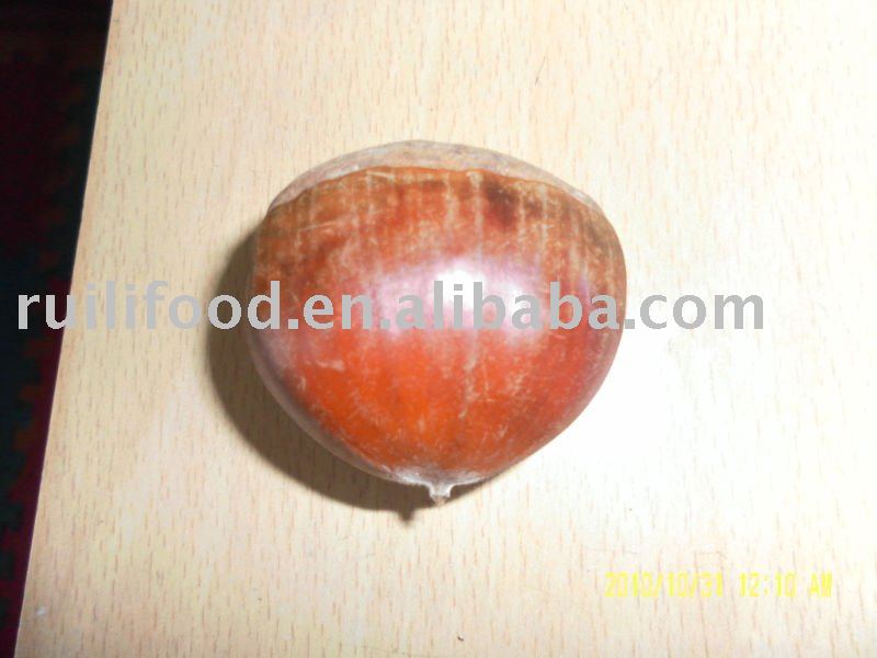 frozen chestnut in shell