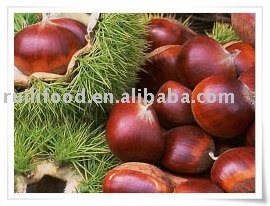 SELL  frozen chestnut , big chestnut