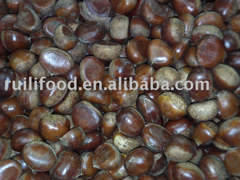 Chinese big chestnut