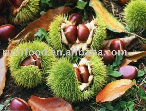 Dandong ````frozen chestut , chinese chestnut