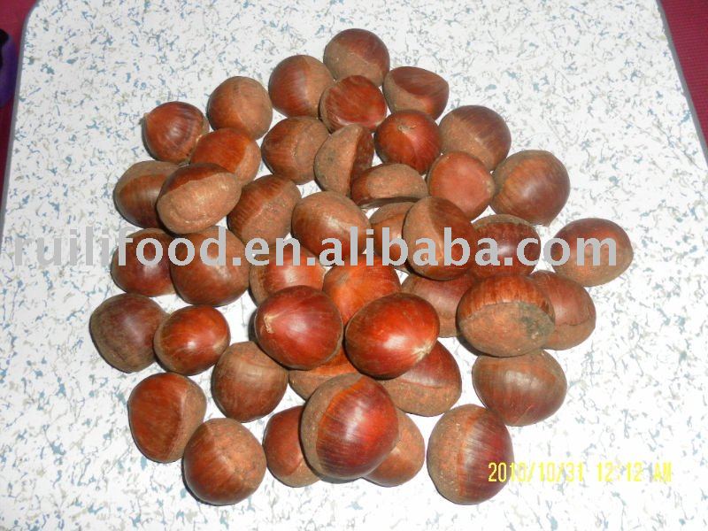 chinese fresh chestnut