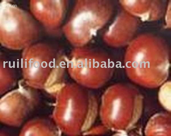 sell frozen chestut , chinese chestnut