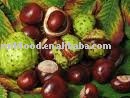 2010 new crop , fresh chestnut in shell