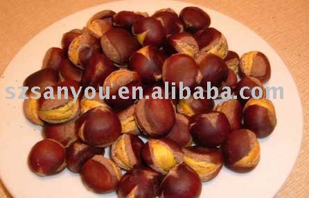 castanea mollissima