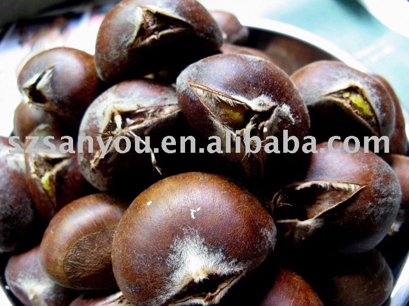 Chinese Chestnuts