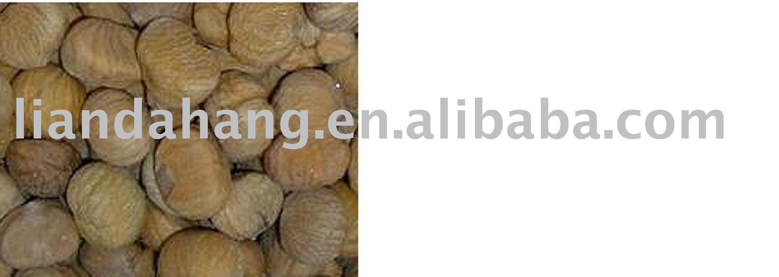  chestnut  kernel, Frozen  chestnut  kernel,  Roasted   chestnut  kernel