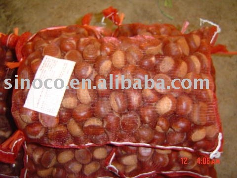 new crop chestnut