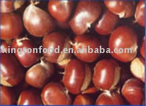 2010 new crop Chestnut