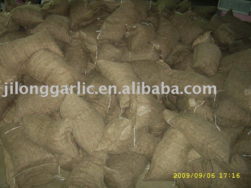 Jilong fresh chestnut