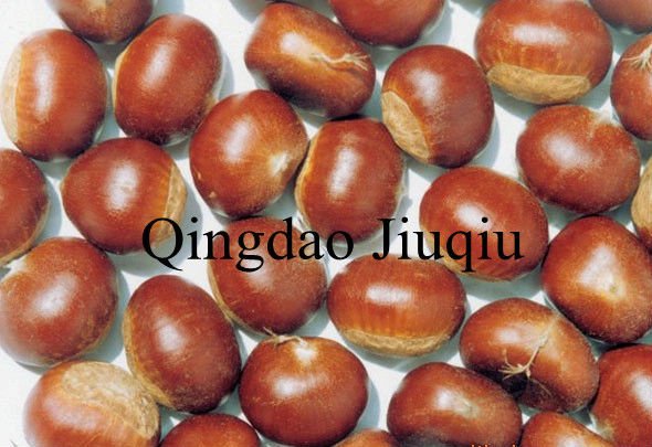 peeled and canned raw chestnuts