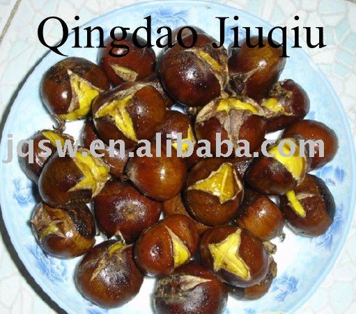 Top Quality Fresh Chestnut Of 2010 New Crop