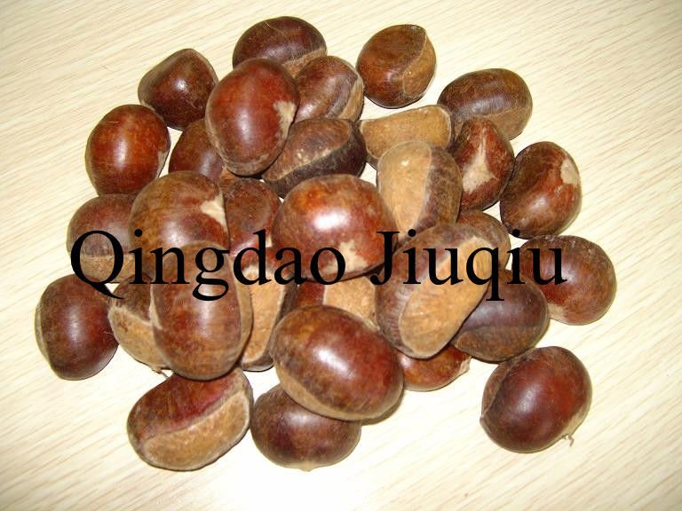 thin skin chinese chestnuts