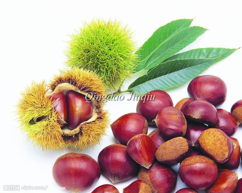 dried peeled  raw   chestnut s