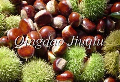 roasted and peeled chinese chestnuts
