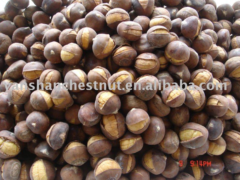 frozen smiling chestnut